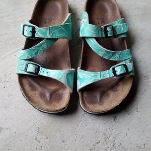 Betula from original